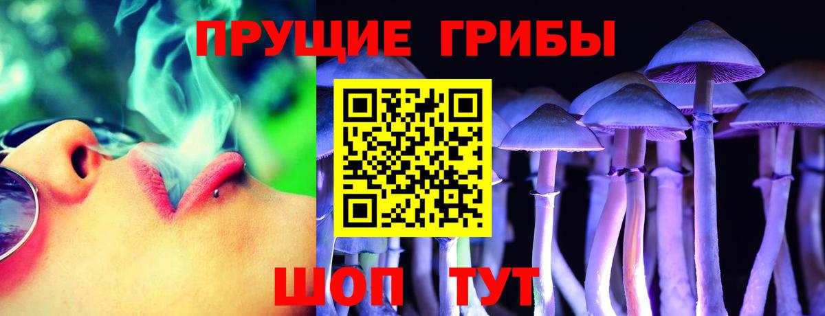Псилоцибиновые грибы мицелий  Вход с VPN  Арзамас  Псилоцибиновые грибы MAGIC MUSHROOMS 
